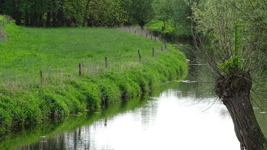 Flusslauf im Ortsteil Loikum