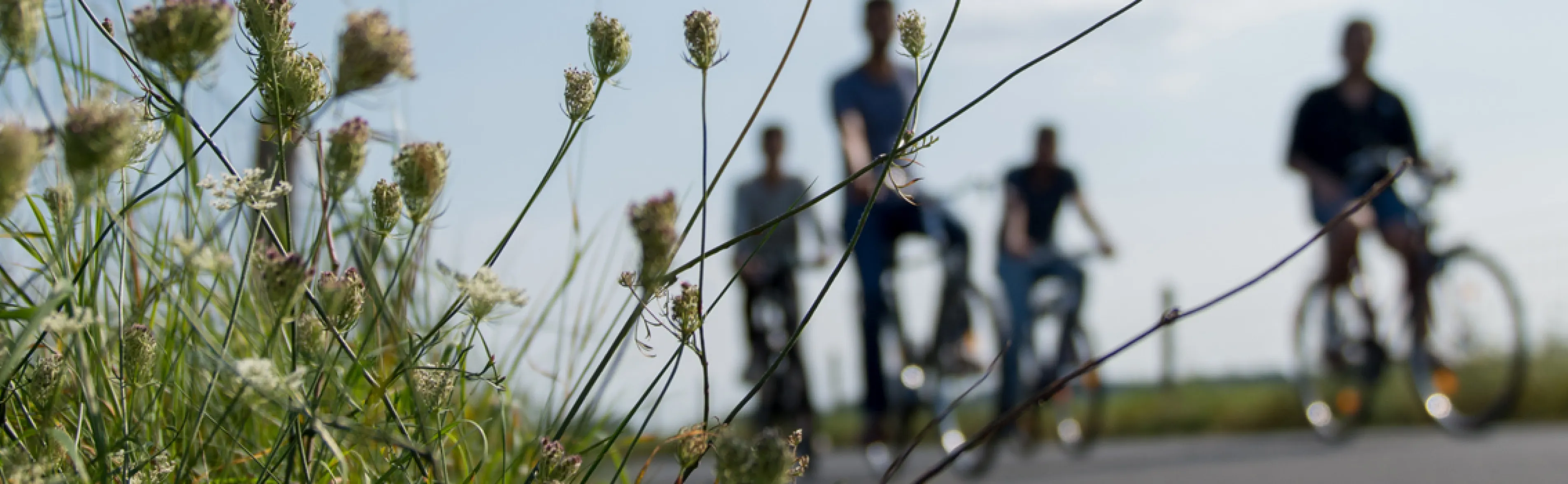 Fahrradtour im Frühling